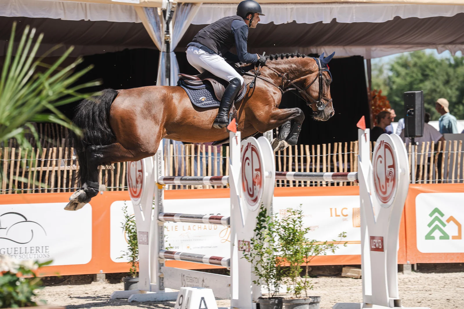 Jackson in competition