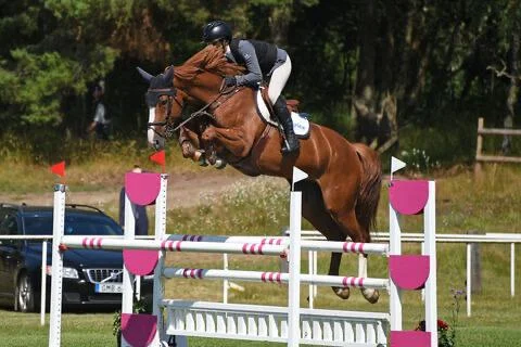 Juni show jumping