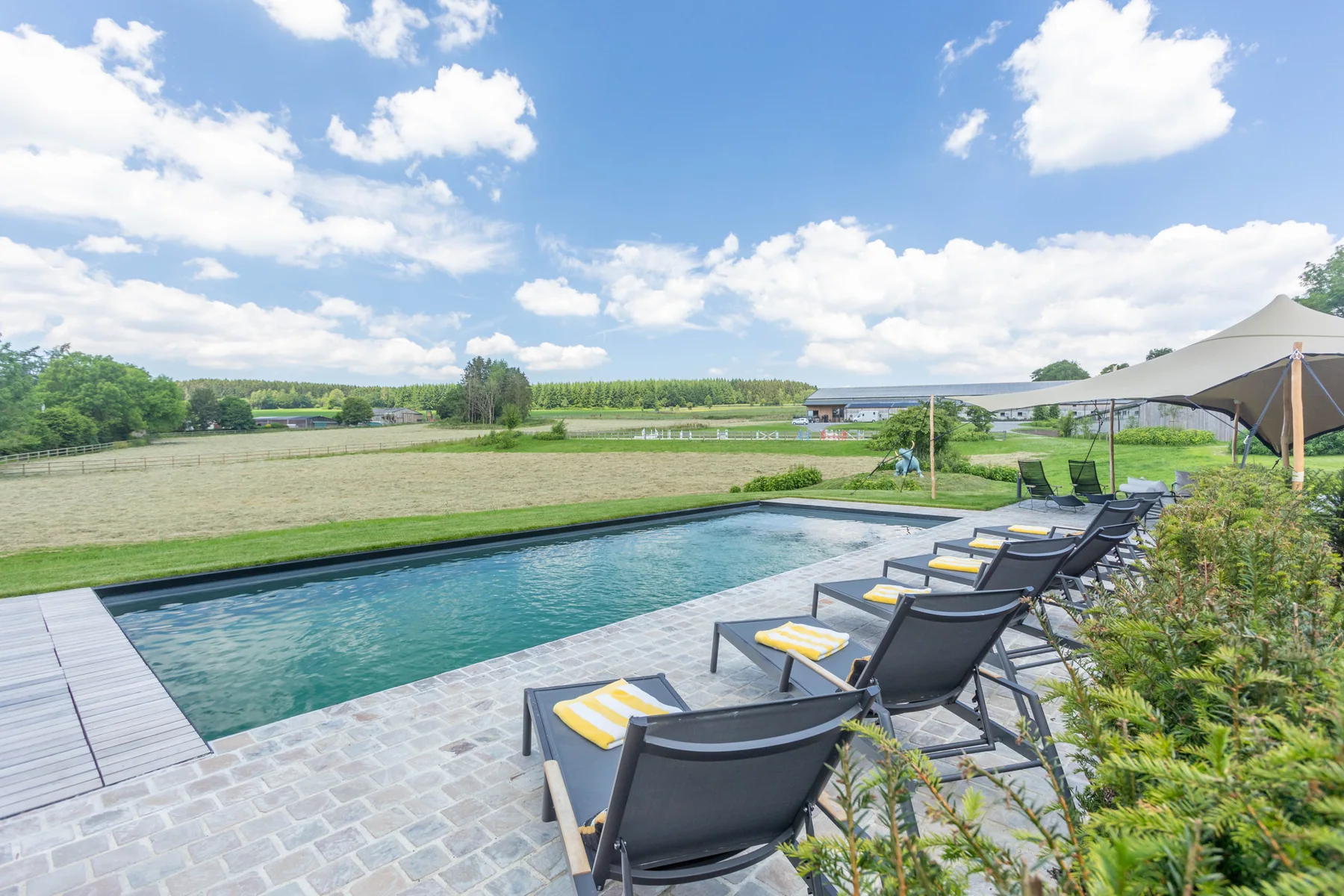 Pool terrace overlooking the paddocks