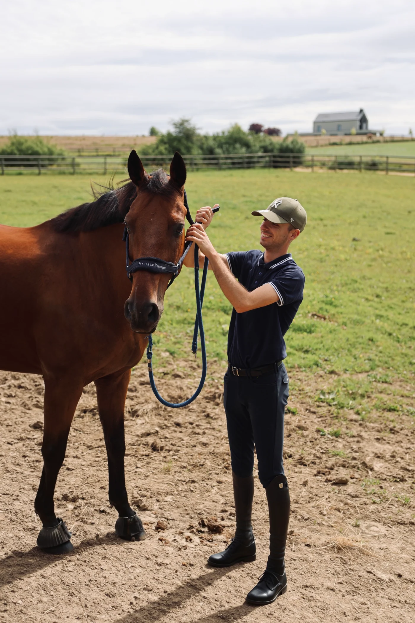 Preparing a horse for daily work at Prepinson