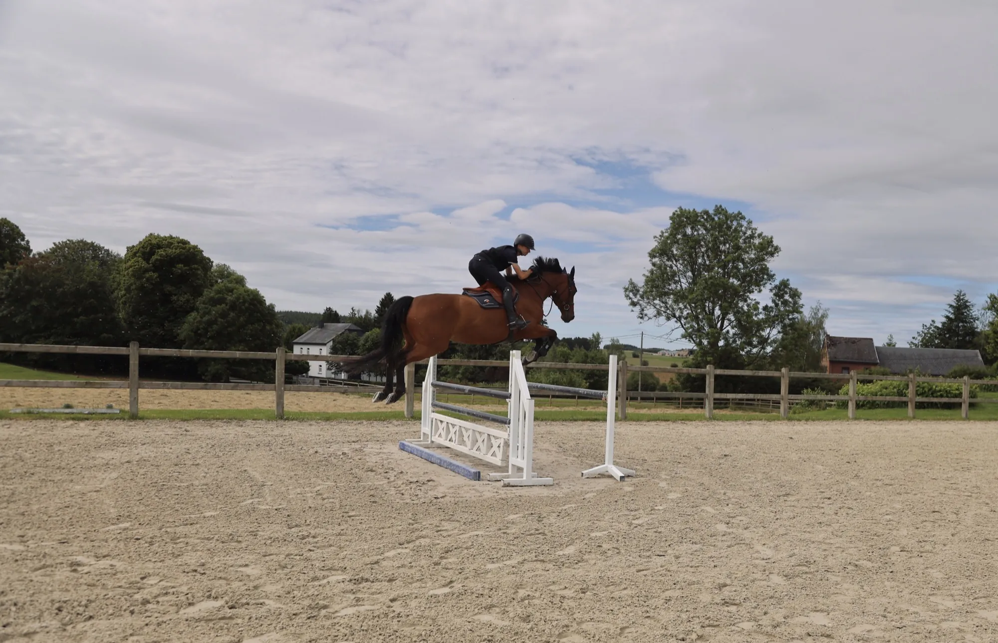 Horse and rider jumping an obstacle